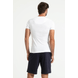 888.375_BR_004_Camiseta-Rib-1x1-Gola-V.png