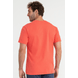 888.3728_CL_002_Camiseta-100--Algodao-Premium.png