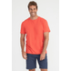 888.3728_CL_003_Camiseta-100--Algodao-Premium.png