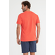 888.3728_CL_004_Camiseta-100--Algodao-Premium.png