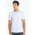 000.3737_BR_001_Camiseta-Algodao-Pima-Plus-Size