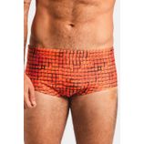 888.742_DLA_001_Sunga-Estampada