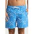 888.419_ZIG_001_Short-Praia