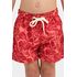 888.412_HIB_001_Short-Infantil