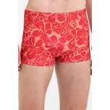 888.741_HIB_001_Sunga-Boxer-Estampada