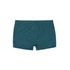 888.743_COR_001_Sunga-Boxer-Infantil-Estampada