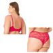 679.011_679.021VM_02_Kit-Sutia-com-Aro-e-Calcinha-Alta-Amsterda