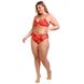 690.7219_27_03_Conjunto-de-Biquini-Top-Aro-e-Calcinha-Alta-Fio-Dental-Sol-de-Verao