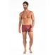 000.0649_VI_003_Cueca-Boxer-Liocel